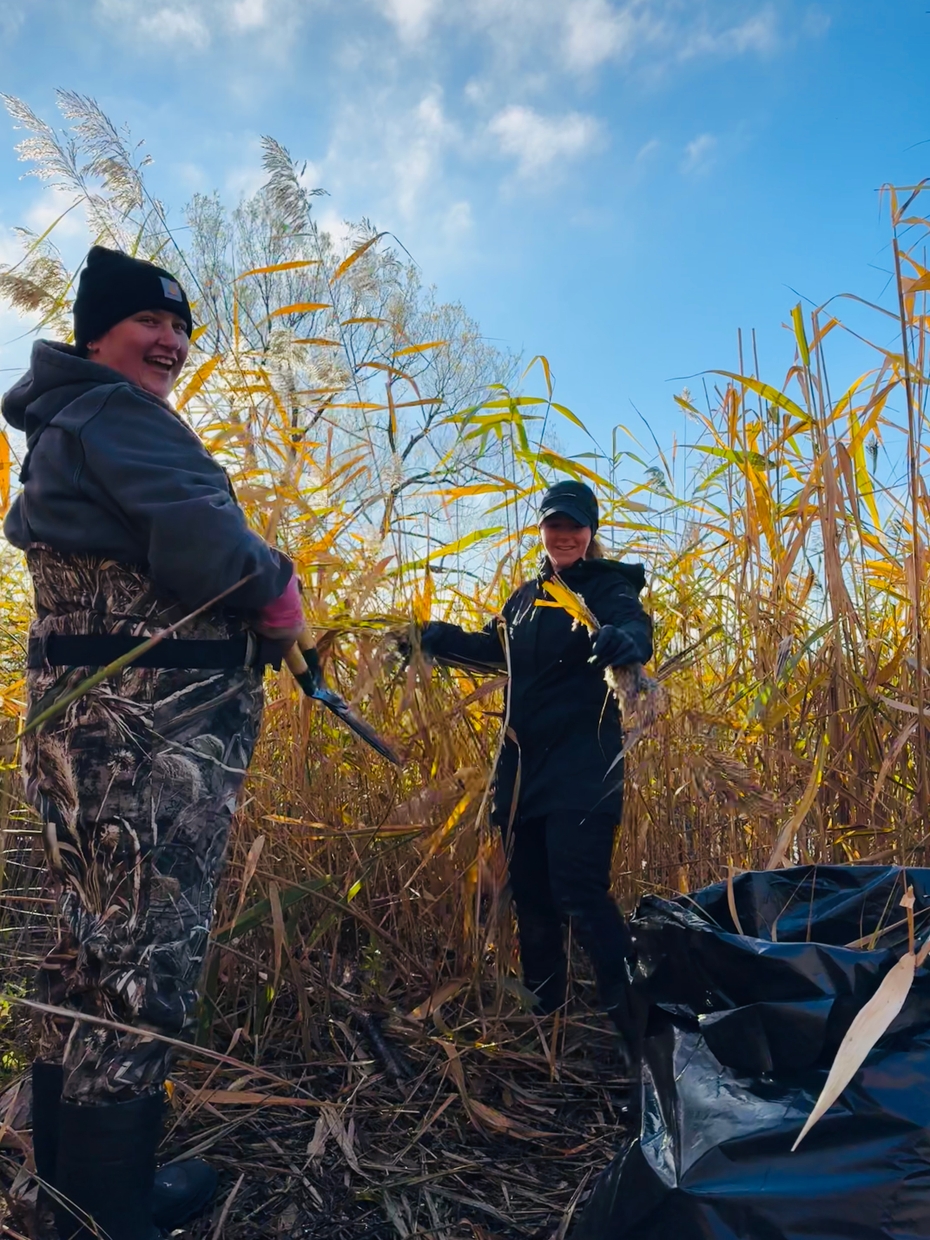 students working on shoreline